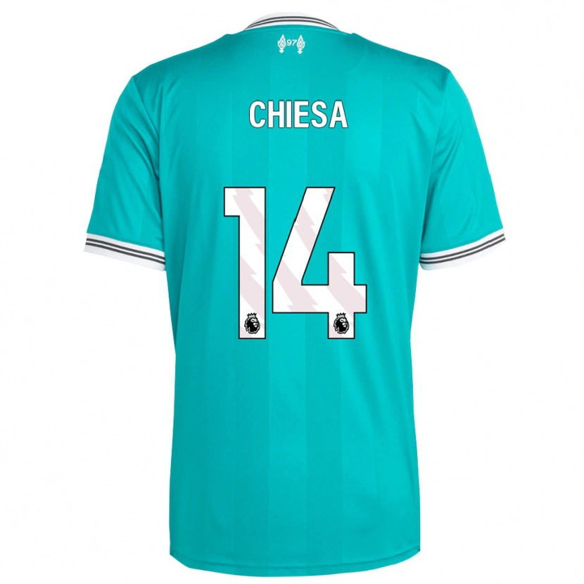 Danxen Kinder Federico Chiesa #14 Grün Weiß Ausweichtrikot Trikot 2025/26 T-Shirt Schweiz