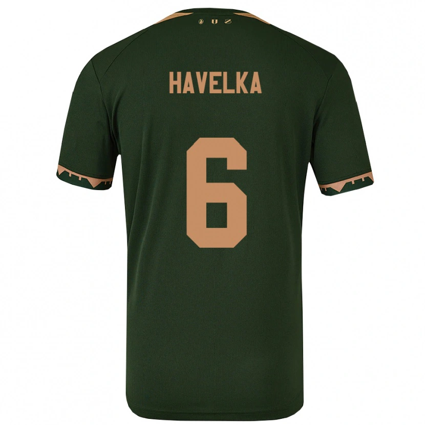 Danxen Damen Matyas Havelka #6 Grün Gold Auswärtstrikot Trikot 2025/26 T-Shirt Schweiz