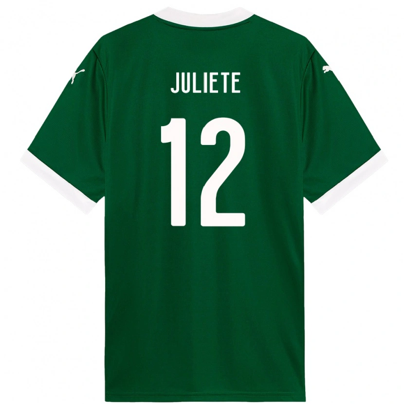 Danxen Kinder Juliete #12 Weiß Grün Heimtrikot Trikot 2025/26 T-Shirt Schweiz