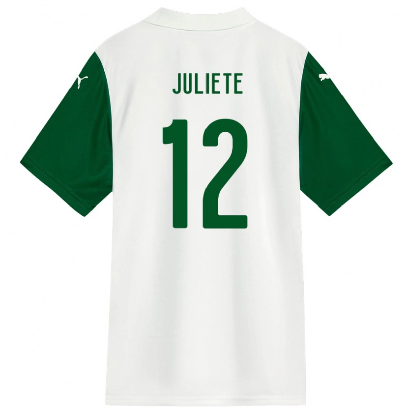 Danxen Herren Juliete #12 Grün Weiß Auswärtstrikot Trikot 2025/26 T-Shirt Schweiz