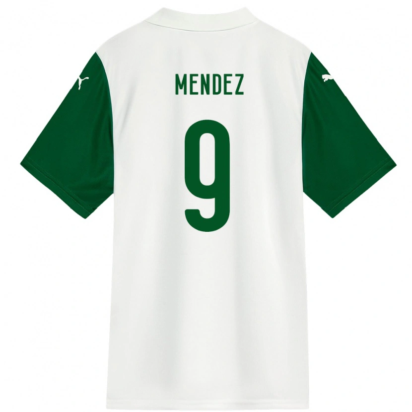 Danxen Damen Cesar Mendez #9 Grün Weiß Auswärtstrikot Trikot 2025/26 T-Shirt Schweiz