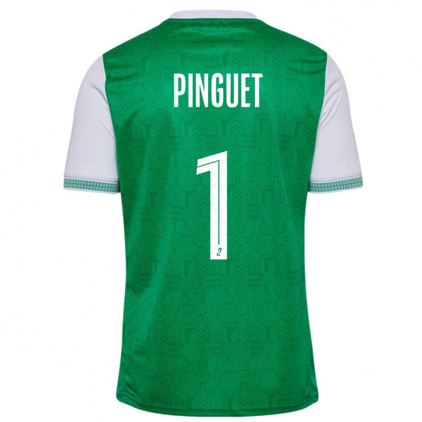 Danxen Herren Alice Pinguet #1 Grün Weiß Heimtrikot Trikot 2025/26 T-Shirt Schweiz