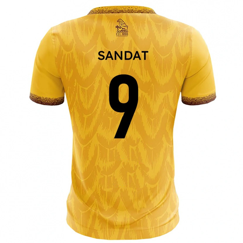 Danxen Damen Henry Sandat #9 Gelb Braun Heimtrikot Trikot 2025/26 T-Shirt Schweiz