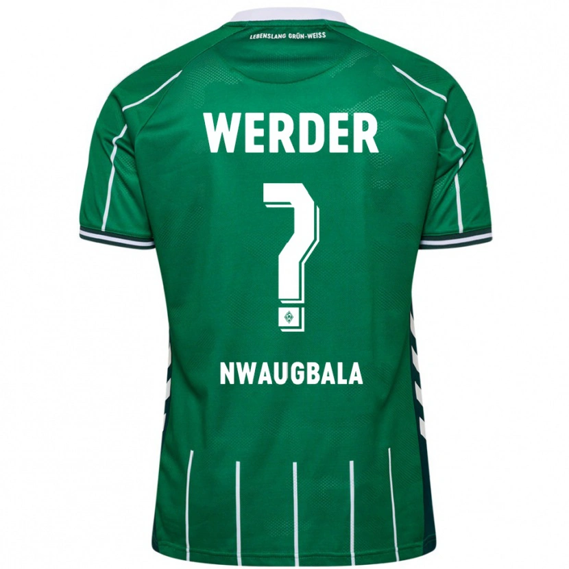 Danxen Herren Kevin Nwaugbala #0 Grün Weiß Heimtrikot Trikot 2025/26 T-Shirt Schweiz