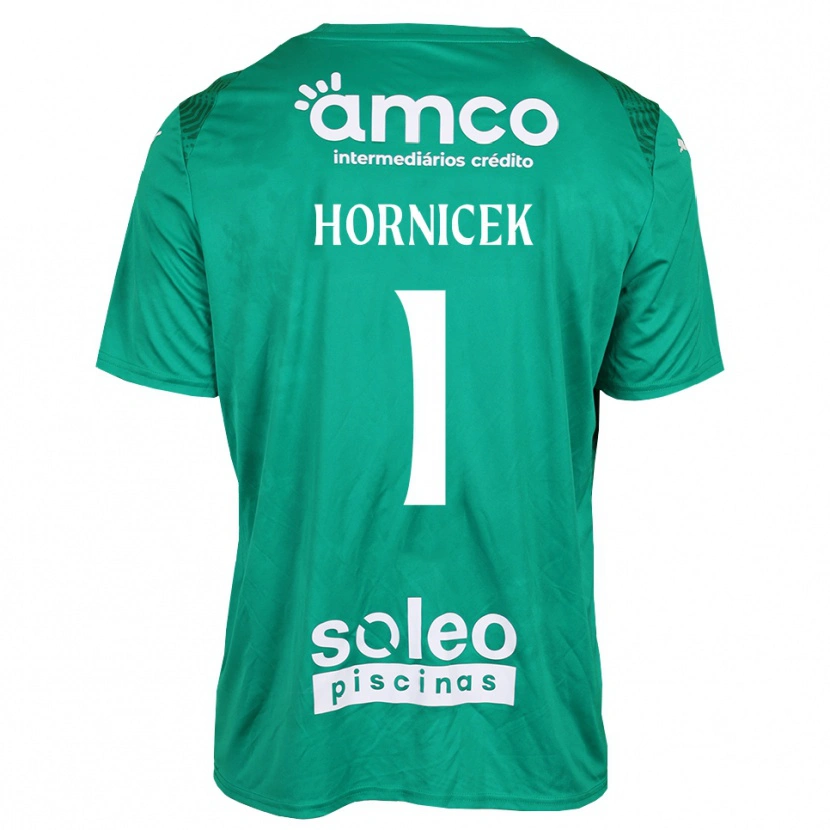 Danxen Kinder Lukas Hornicek #1 Trikot Grün Weiß Torwarttrikot 2025/26 Schweiz