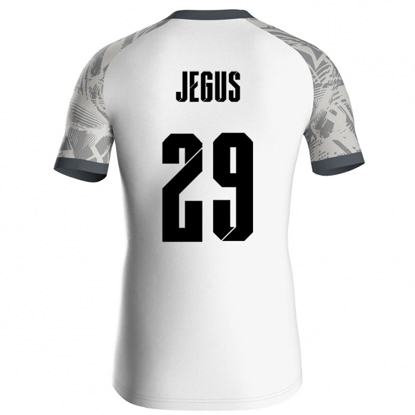 Danxen Herren Leonard Jegus #29 Trikot Grau Weiß Torwarttrikot 2025/26 Schweiz