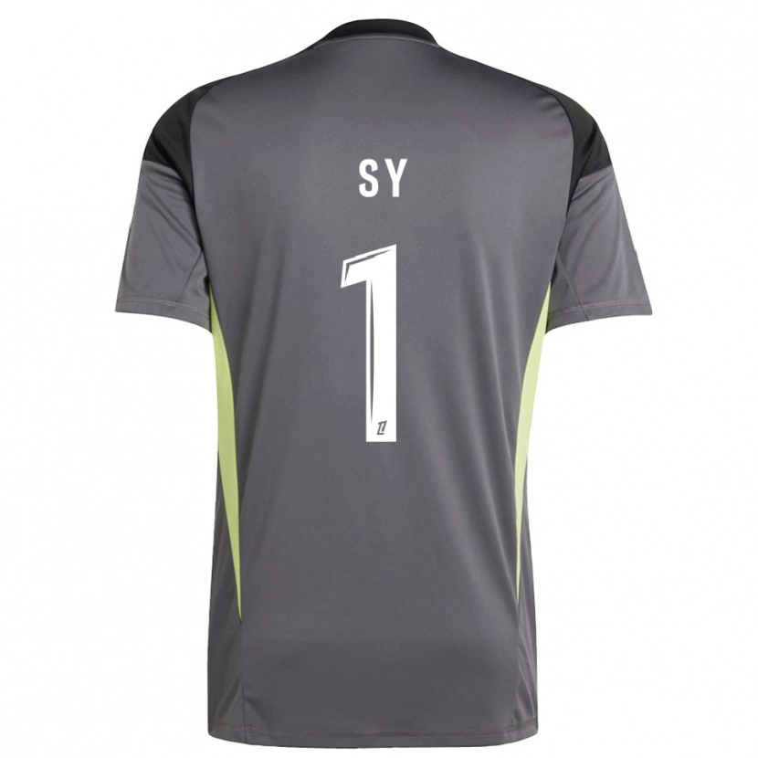 Danxen Herren Seydou Sy #1 Trikot Dunkelgrau Grün Torwarttrikot 2025/26 Schweiz