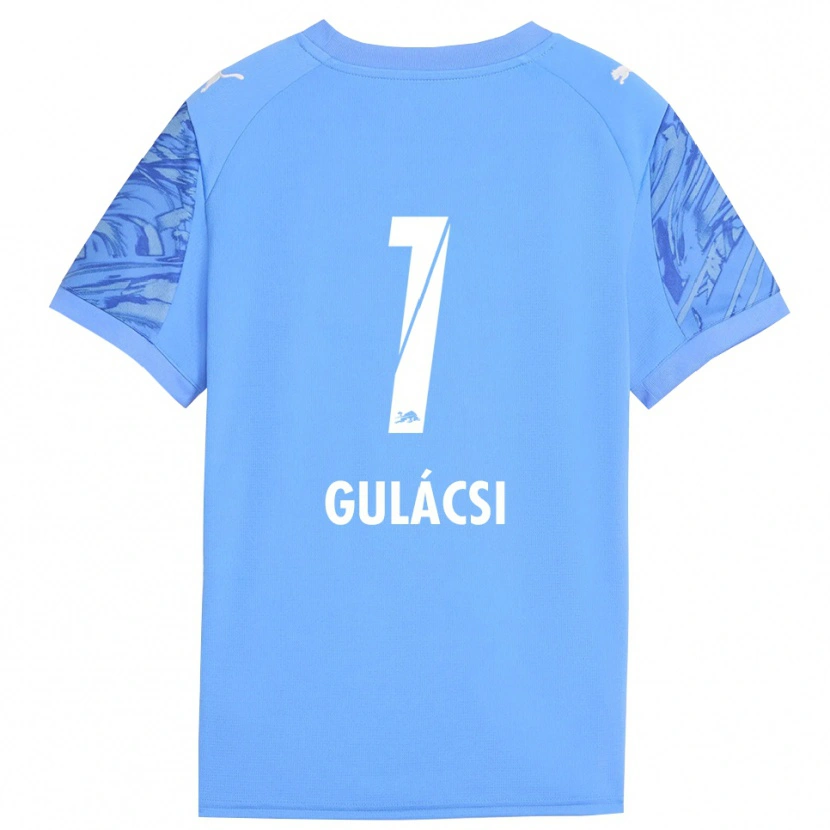 Danxen Herren Péter Gulácsi #1 Trikot Königsblau Rot Torwarttrikot 2025/26 Schweiz