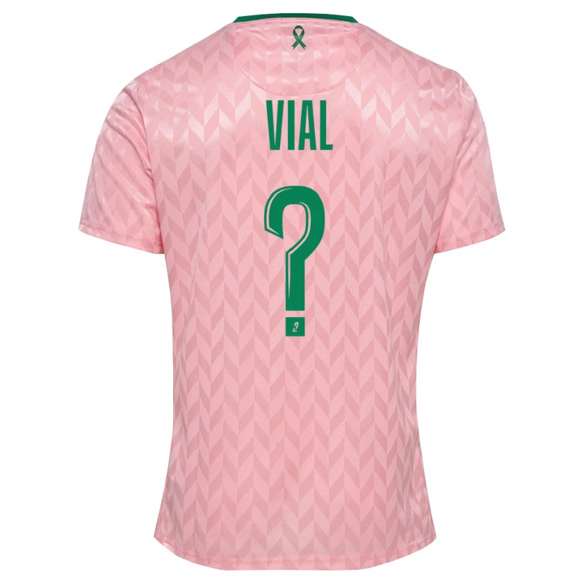 Danxen Herren Lorik Vial #0 Trikot Pink Grün Torwarttrikot 2025/26 Schweiz