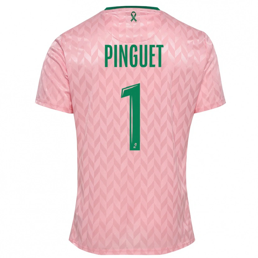 Danxen Herren Alice Pinguet #1 Trikot Pink Grün Torwarttrikot 2025/26 Schweiz