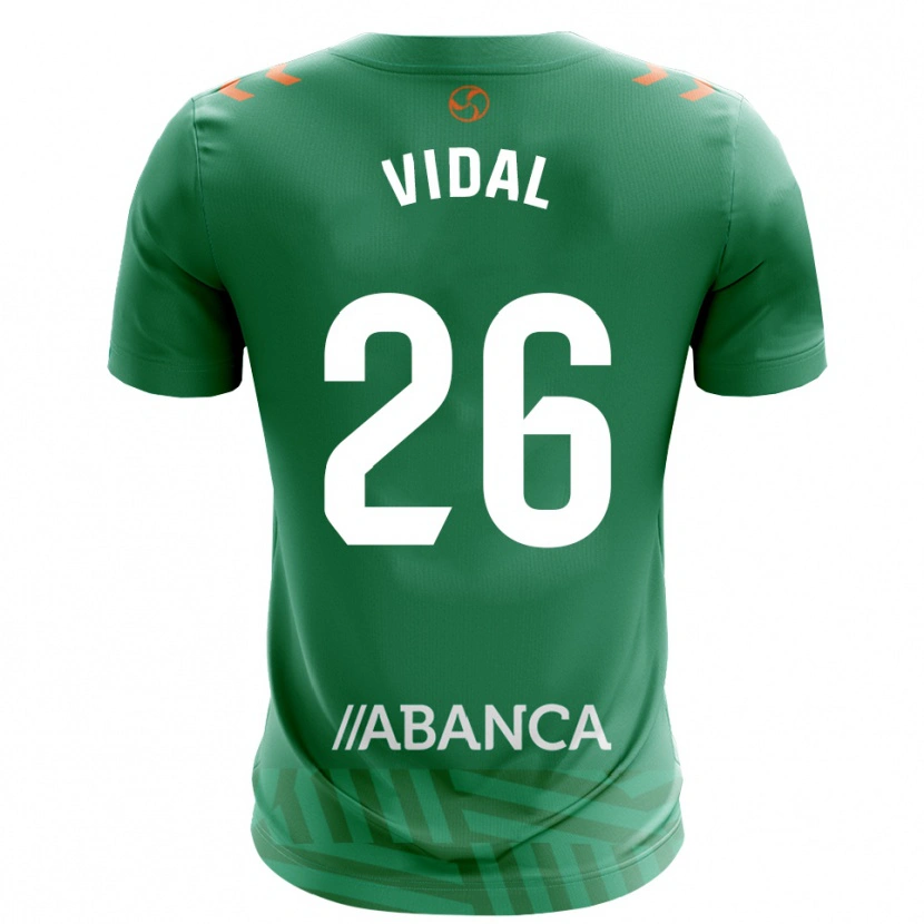 Danxen Herren Marc Vidal #26 Trikot Grün Weiß Torwarttrikot 2025/26 Schweiz