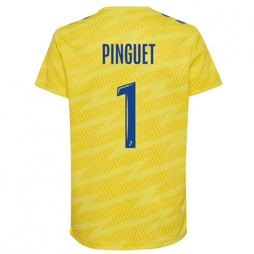 Danxen Damen Alice Pinguet #1 Trikot Gelb Blau Torwarttrikot 2025/26 Schweiz