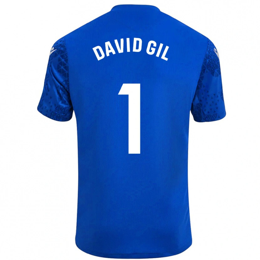Danxen Damen David Gil #1 Trikot Blau Weiß Torwarttrikot 2025/26 Schweiz