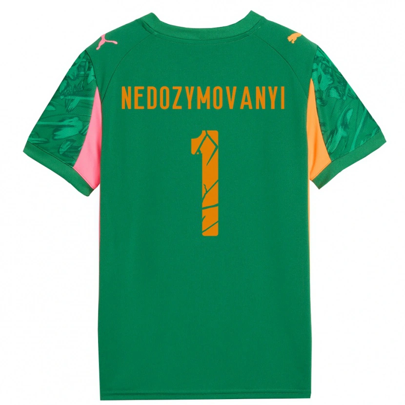 Danxen Damen Artem Nedozymovanyi #1 Trikot Grün Orange Pink Torwarttrikot 2025/26 Schweiz