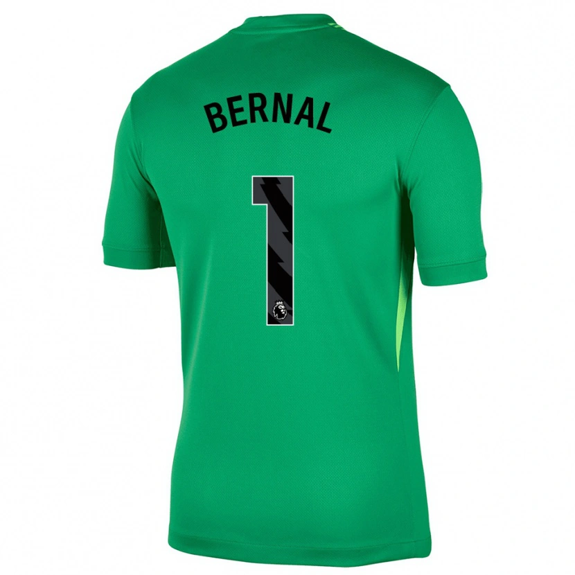 Danxen Damen Freddy Bernal #1 Trikot Grün Schwarz Torwarttrikot 2025/26 Schweiz