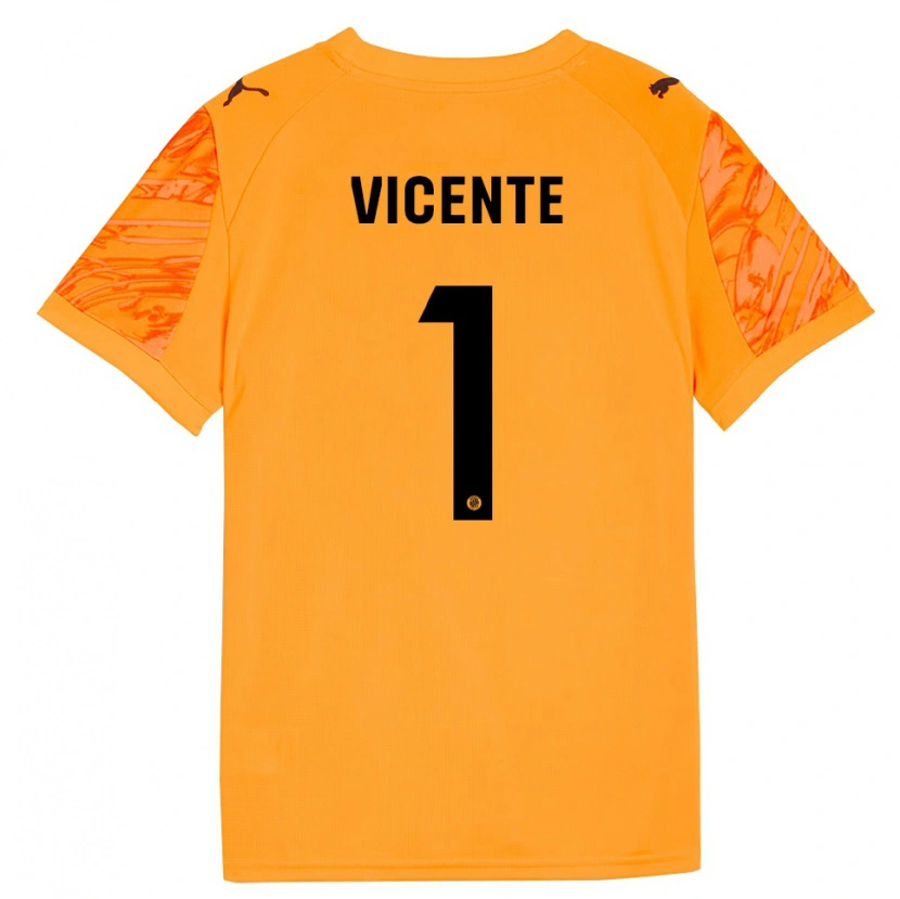 Danxen Damen Diego Vicente #1 Trikot Orange Schwarz Torwarttrikot 2025/26 Schweiz