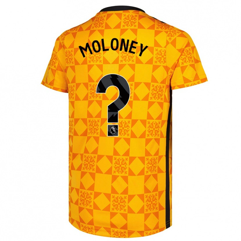 Danxen Damen Grace Moloney #0 Trikot Gelb Schwarz Torwarttrikot 2025/26 Schweiz