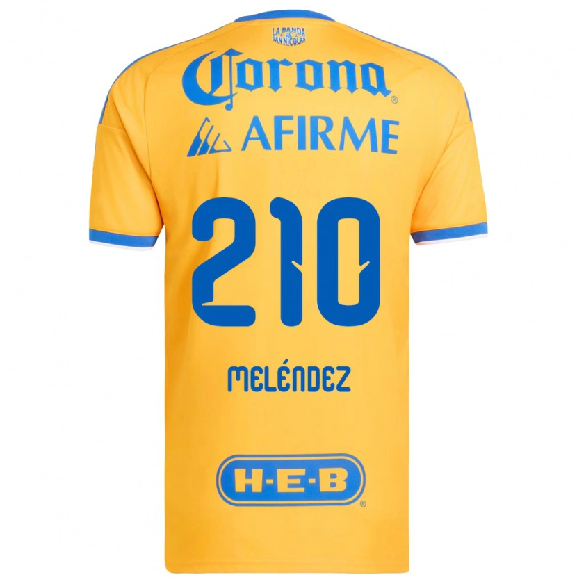 Danxen Kinder Marcelo Meléndez #210 Gelb Blau Heimtrikot Trikot 2026/27 T-Shirt Schweiz