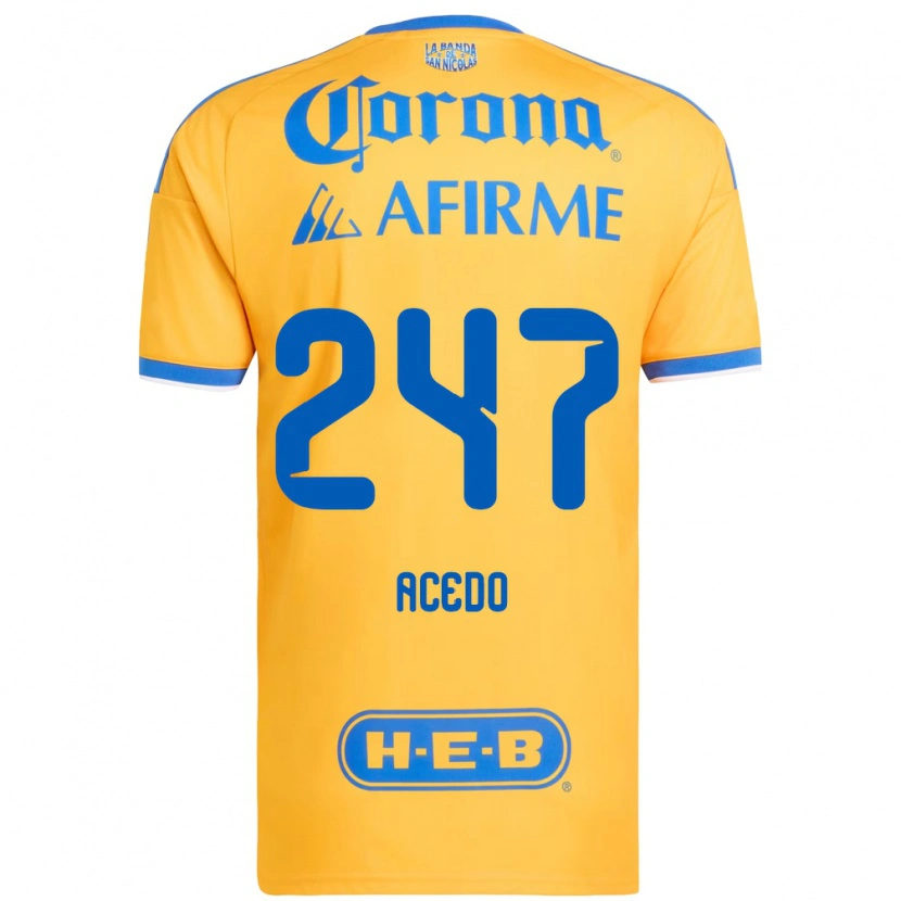 Danxen Kinder Kevin Acedo #247 Gelb Blau Heimtrikot Trikot 2026/27 T-Shirt Schweiz