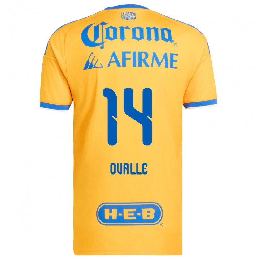 Danxen Herren Lizbeth Ovalle #14 Gelb Blau Heimtrikot Trikot 2026/27 T-Shirt Schweiz