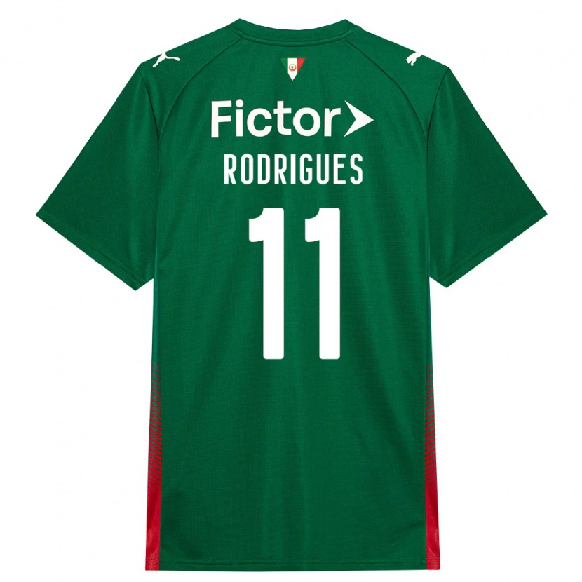 Danxen Herren Bruno Rodrigues #11 Grün Rot Weiß Heimtrikot Trikot 2026/27 T-Shirt Schweiz