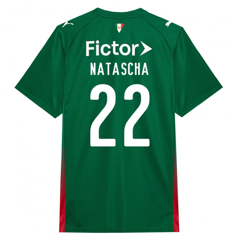 Danxen Herren Natascha #22 Grün Rot Weiß Heimtrikot Trikot 2026/27 T-Shirt Schweiz