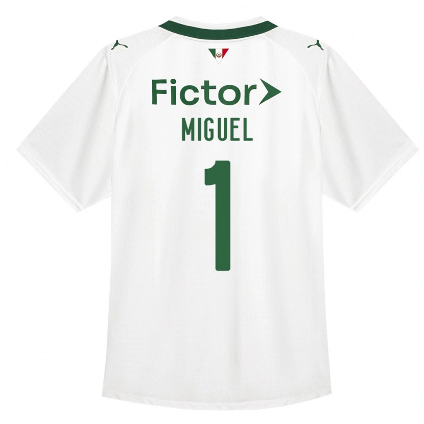 Danxen Herren Carlos Miguel #1 Grün Weiß Auswärtstrikot Trikot 2026/27 T-Shirt Schweiz