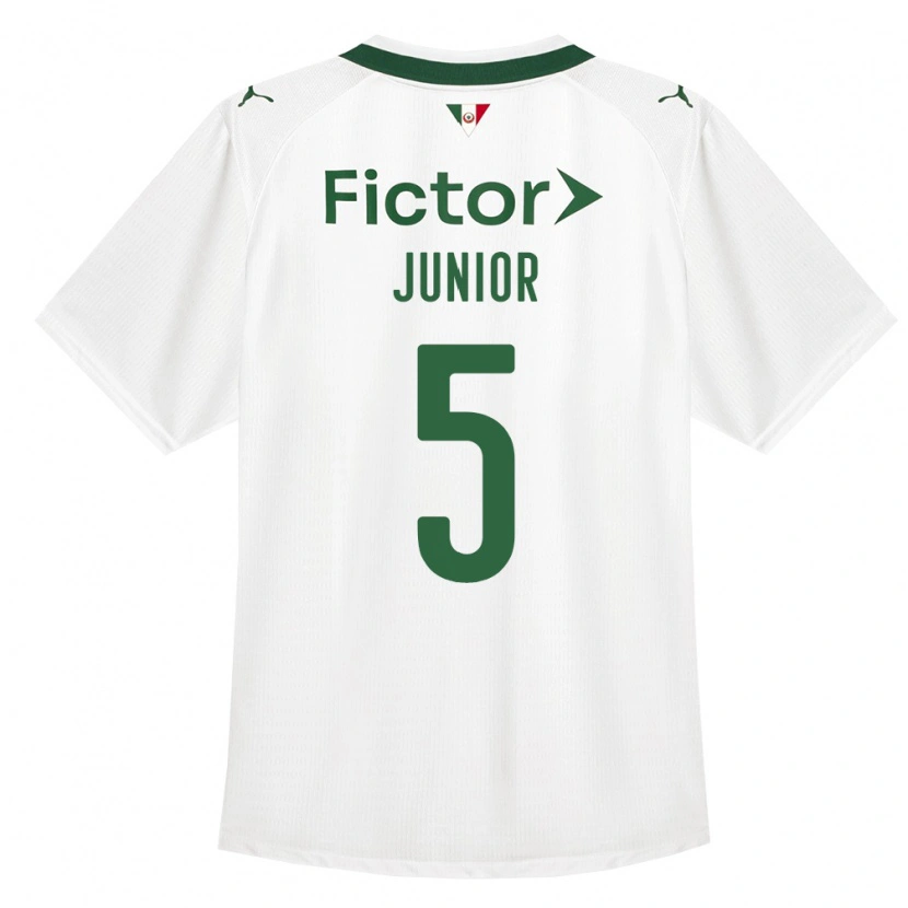 Danxen Herren Amilton Junior #5 Grün Weiß Auswärtstrikot Trikot 2026/27 T-Shirt Schweiz