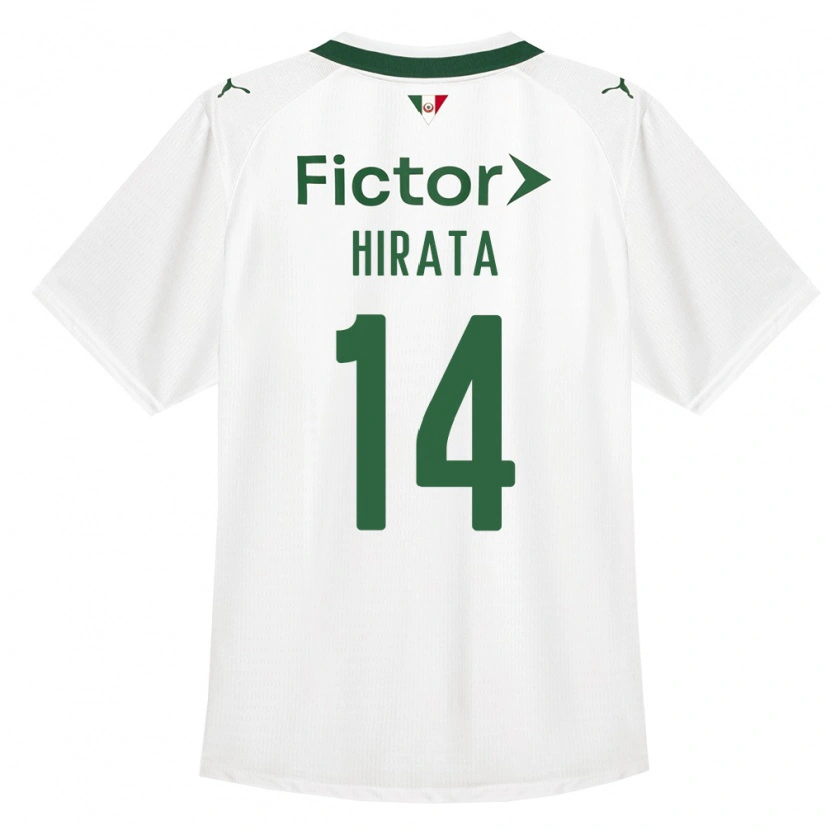 Danxen Herren Bruna Hirata #14 Grün Weiß Auswärtstrikot Trikot 2026/27 T-Shirt Schweiz