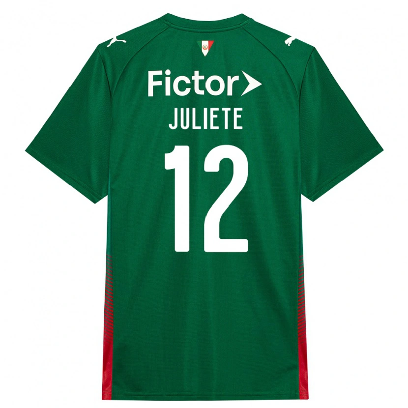 Danxen Damen Juliete #12 Grün Rot Weiß Heimtrikot Trikot 2026/27 T-Shirt Schweiz