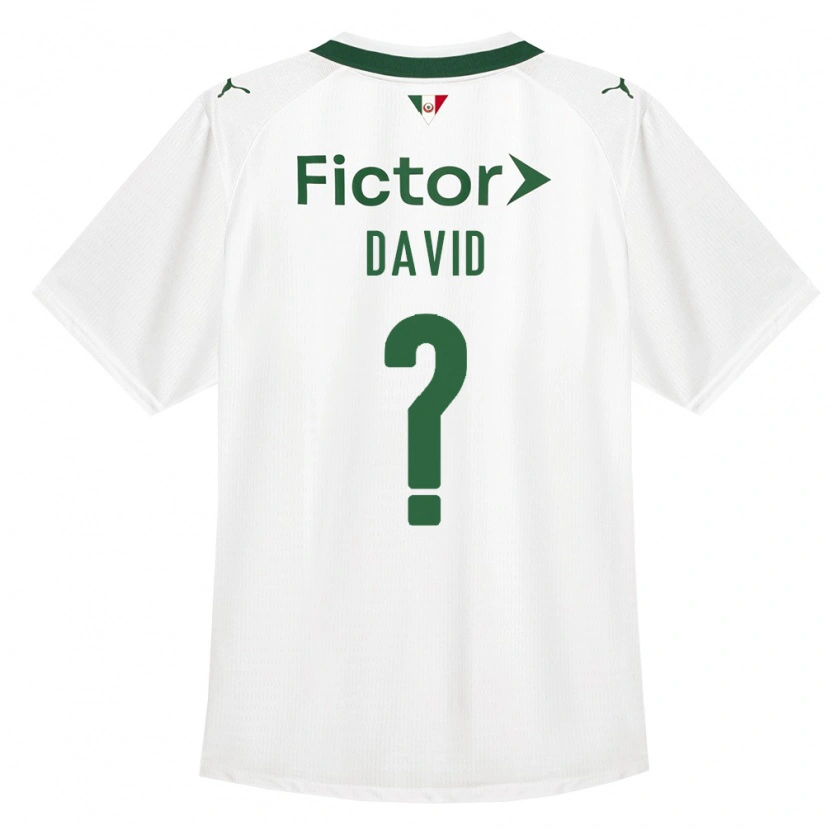 Danxen Damen David #0 Grün Weiß Auswärtstrikot Trikot 2026/27 T-Shirt Schweiz