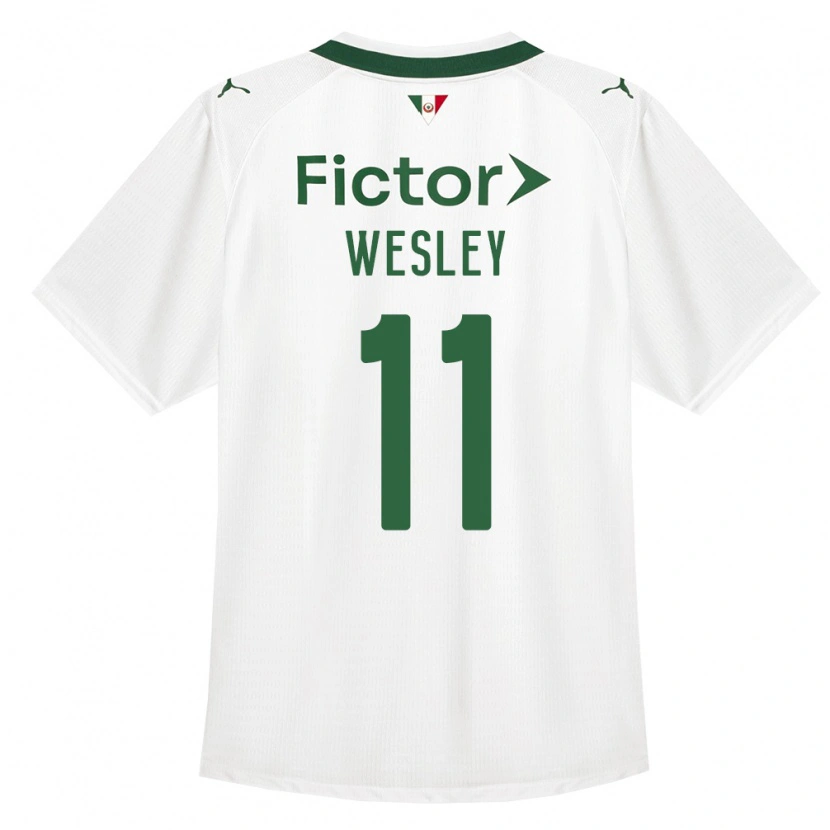 Danxen Damen Wesley #11 Grün Weiß Auswärtstrikot Trikot 2026/27 T-Shirt Schweiz