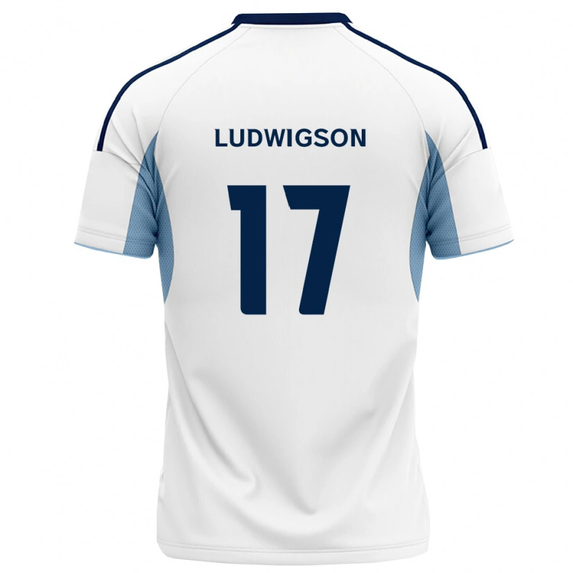 Danxen Herren Gustav Ludwigson #17 Königsblau Weiß Auswärtstrikot Trikot 2026/27 T-Shirt Schweiz