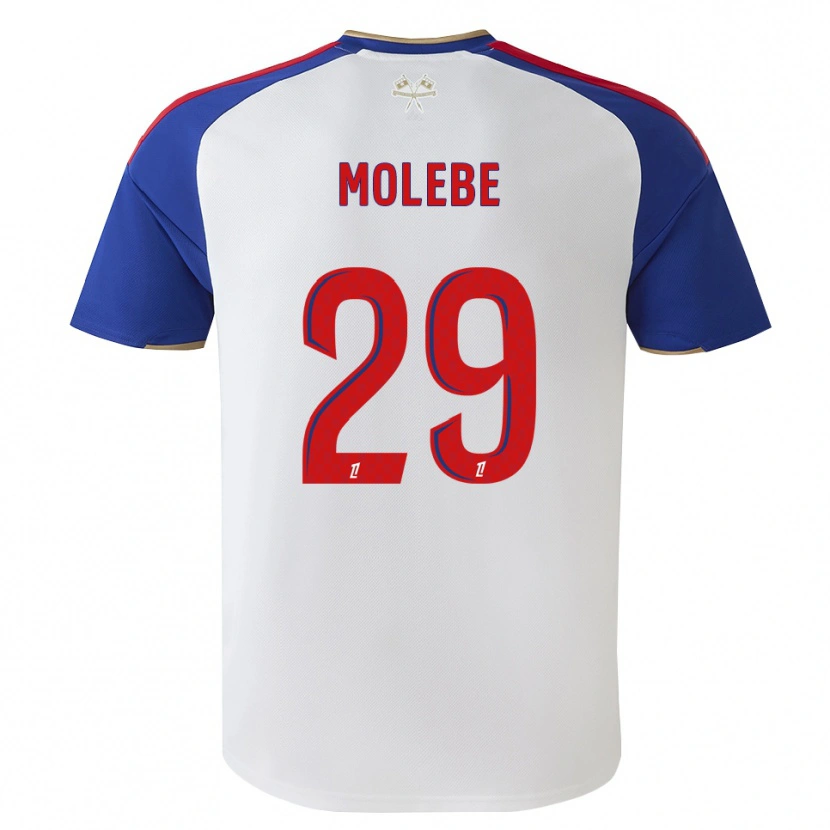 Danxen Kinder Enzo Molebe #29 Königsblau Rot Weiß Heimtrikot Trikot 2026/27 T-Shirt Schweiz