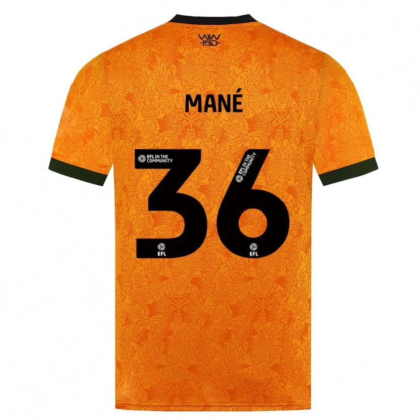 Danxen Kinder Mateus Mané #36 Orange Schwarz Heimtrikot Trikot 2026/27 T-Shirt Schweiz