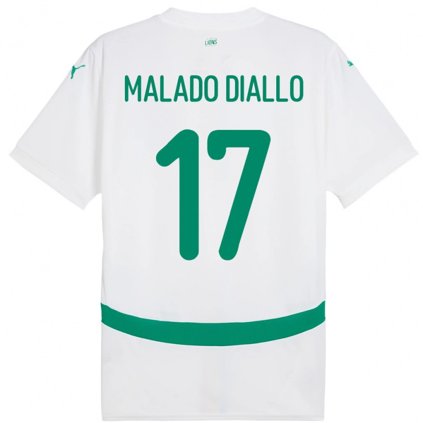 Danxen Kinder Senegal Hapsatou Malado Diallo #17 Weiß Heimtrikot Trikot 24-26 T-Shirt Schweiz