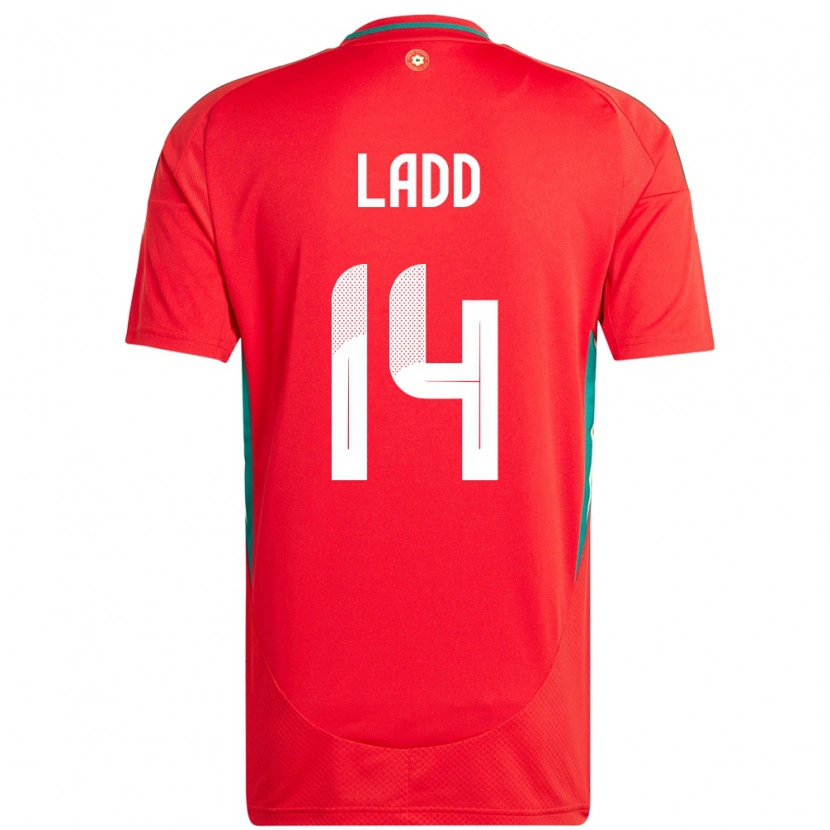 Danxen Kinder Wales Hayley Ladd #14 Rot Heimtrikot Trikot 24-26 T-Shirt Schweiz