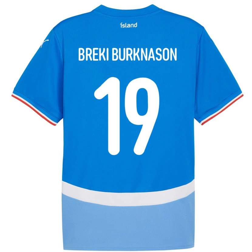 Danxen Kinder Island Birnir Breki Burknason #19 Blau Heimtrikot Trikot 24-26 T-Shirt Schweiz