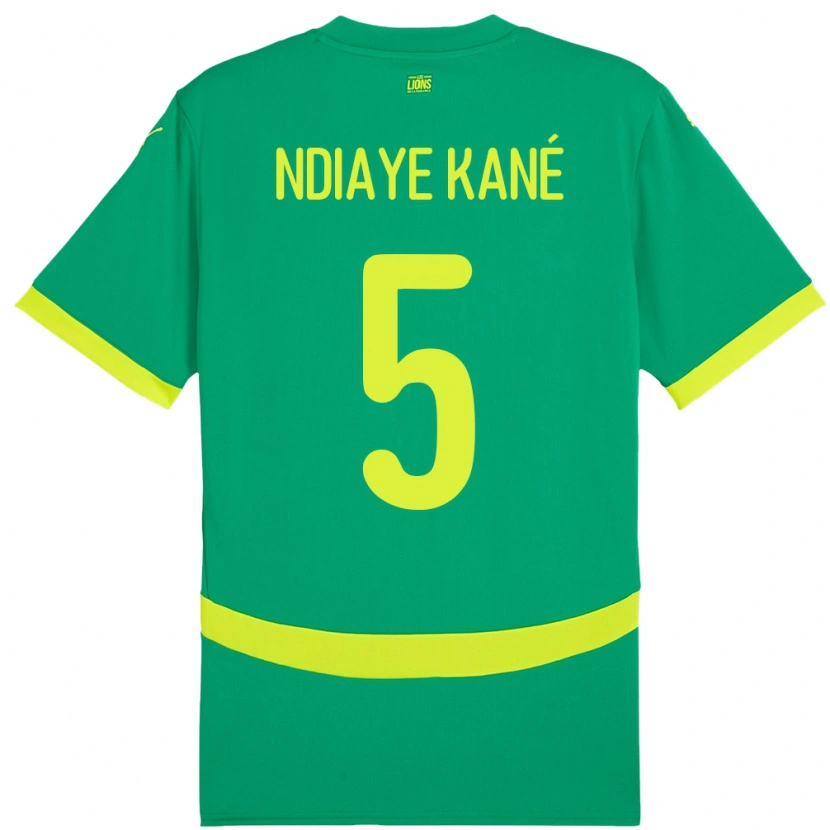 Danxen Kinder Senegal Ndeye Ndiaye Kane #5 Grün Auswärtstrikot Trikot 24-26 T-Shirt Schweiz