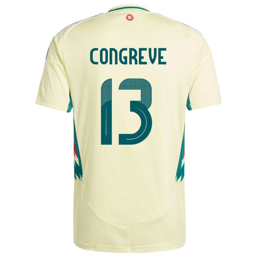 Danxen Kinder Wales Cameron Congreve #13 Beige Gelb Auswärtstrikot Trikot 24-26 T-Shirt Schweiz