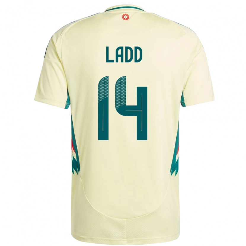 Danxen Kinder Wales Hayley Ladd #14 Beige Gelb Auswärtstrikot Trikot 24-26 T-Shirt Schweiz