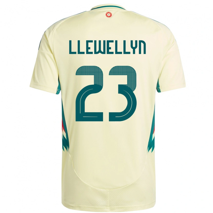 Danxen Kinder Wales Ffion Llewellyn #23 Beige Gelb Auswärtstrikot Trikot 24-26 T-Shirt Schweiz
