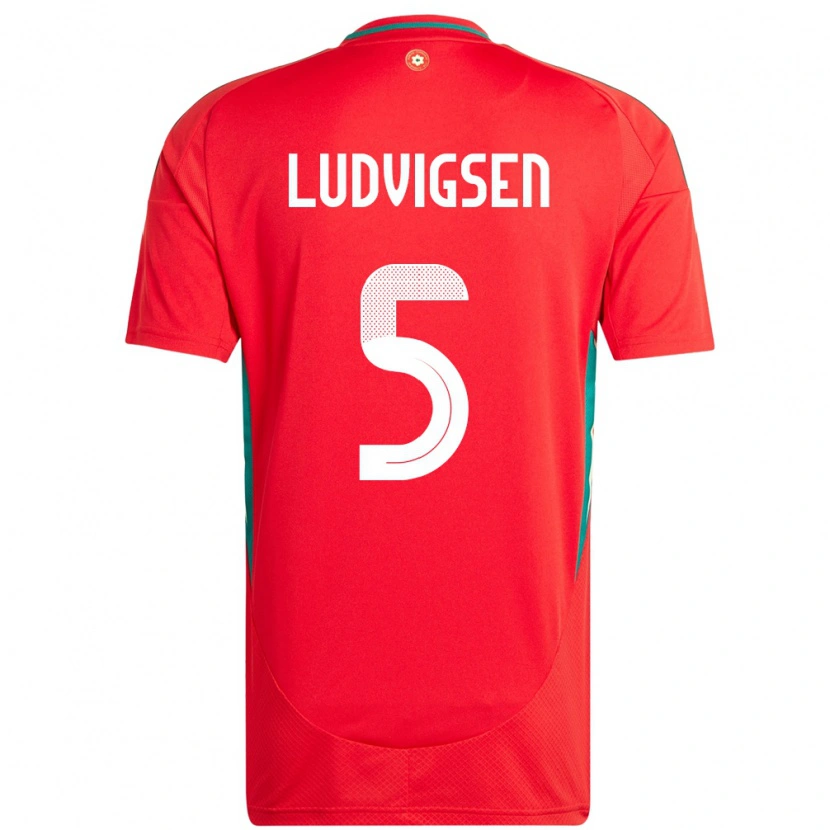 Danxen Herren Wales Kai Ludvigsen #5 Rot Heimtrikot Trikot 24-26 T-Shirt Schweiz