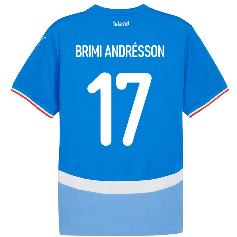 Danxen Herren Island Björgvin Brimi Andrésson #17 Blau Heimtrikot Trikot 24-26 T-Shirt Schweiz