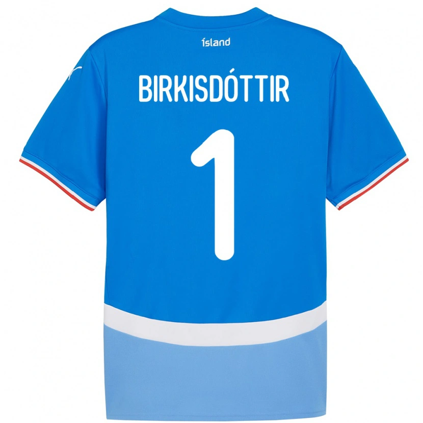 Danxen Herren Island Fanney Inga Birkisdóttir #1 Blau Heimtrikot Trikot 24-26 T-Shirt Schweiz