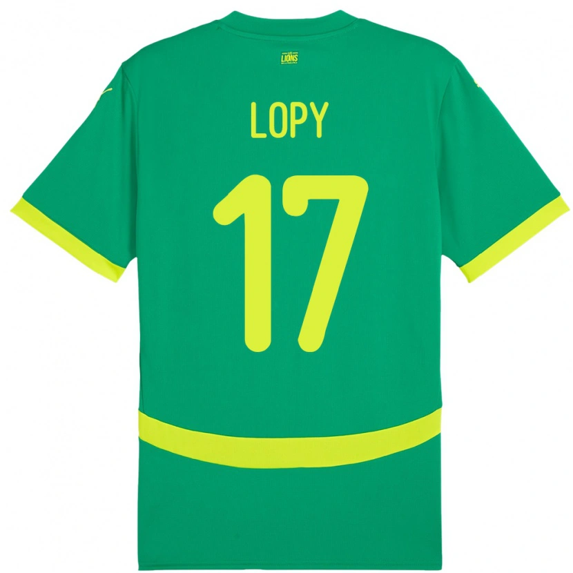 Danxen Herren Senegal Dion Lopy #17 Grün Auswärtstrikot Trikot 24-26 T-Shirt Schweiz