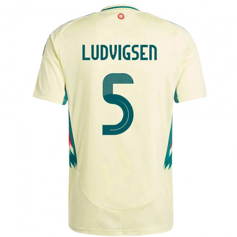 Danxen Herren Wales Kai Ludvigsen #5 Beige Gelb Auswärtstrikot Trikot 24-26 T-Shirt Schweiz