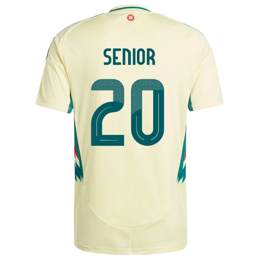 Danxen Herren Wales Matt Senior #20 Beige Gelb Auswärtstrikot Trikot 24-26 T-Shirt Schweiz