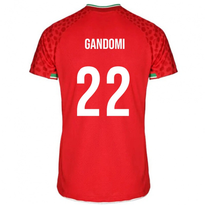 Danxen Herren Iran Mohammad Gandomi #22 Rot Auswärtstrikot Trikot 24-26 T-Shirt Schweiz