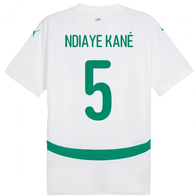 Danxen Damen Senegal Ndeye Ndiaye Kane #5 Weiß Heimtrikot Trikot 24-26 T-Shirt Schweiz